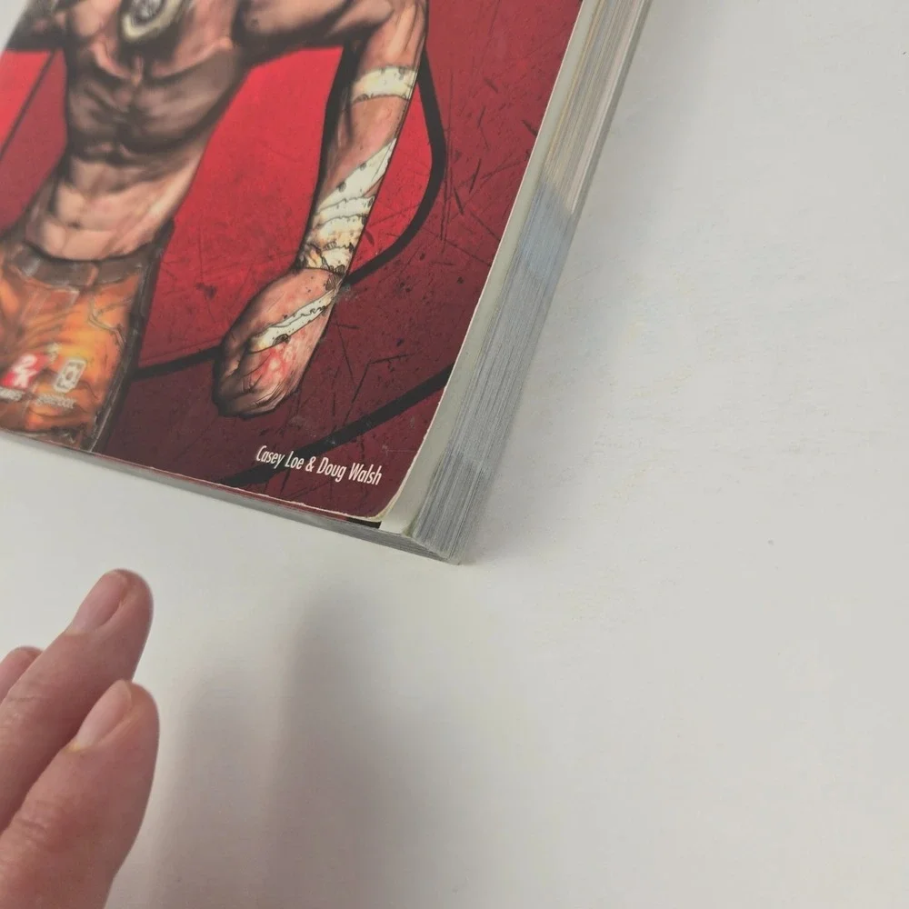 Borderlands Signature Series Strategy Guide (Bradygames Signature Guides) - GOOD